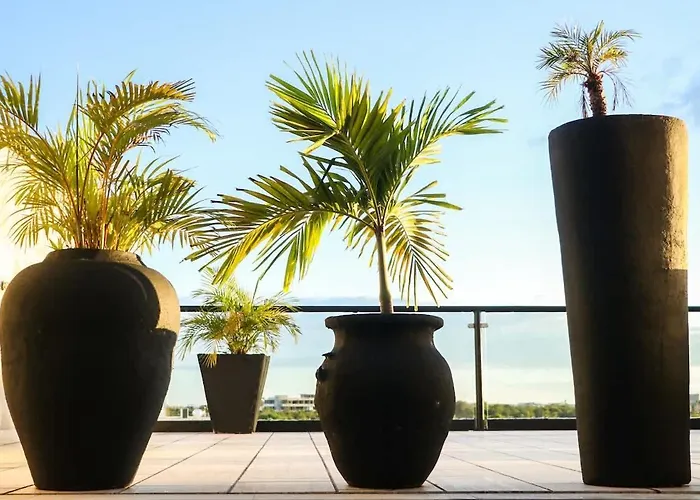 Holiday home Luum Vibe, Free Soul And A Refuge In The Jungle *